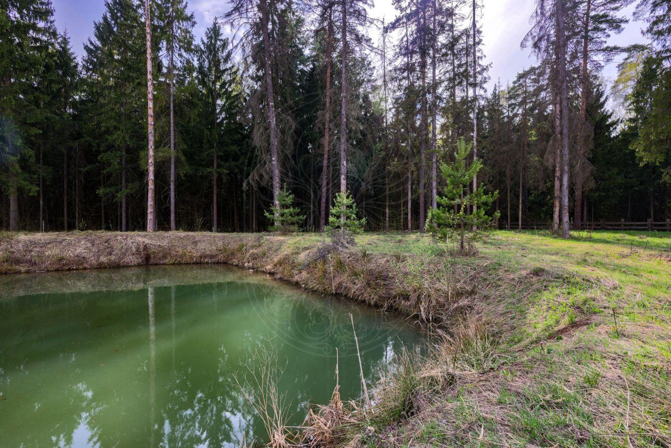 Земельный участок в КП Азарово по привлекательной цене - фото 3