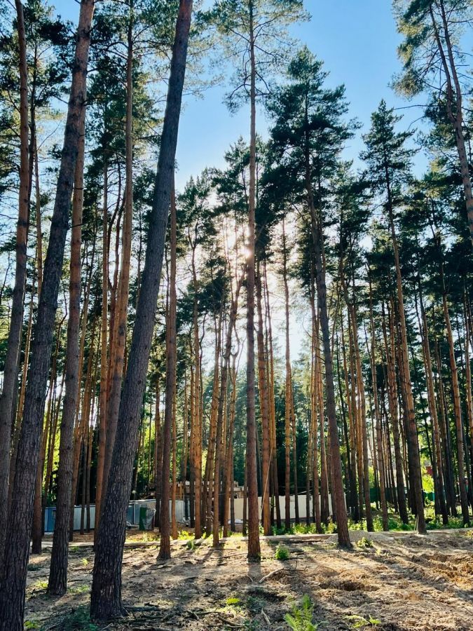 Земельный участок в Грибово - фото 2