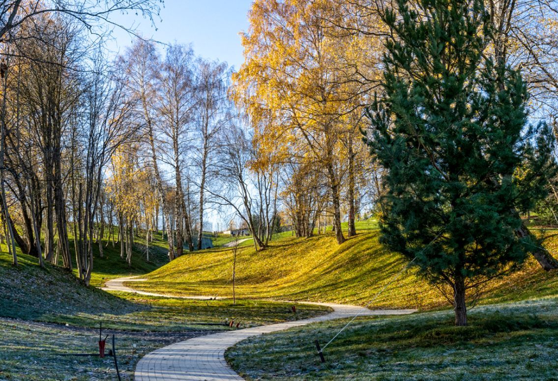 Земельный участок в КП Кристалл Истра - фото 2