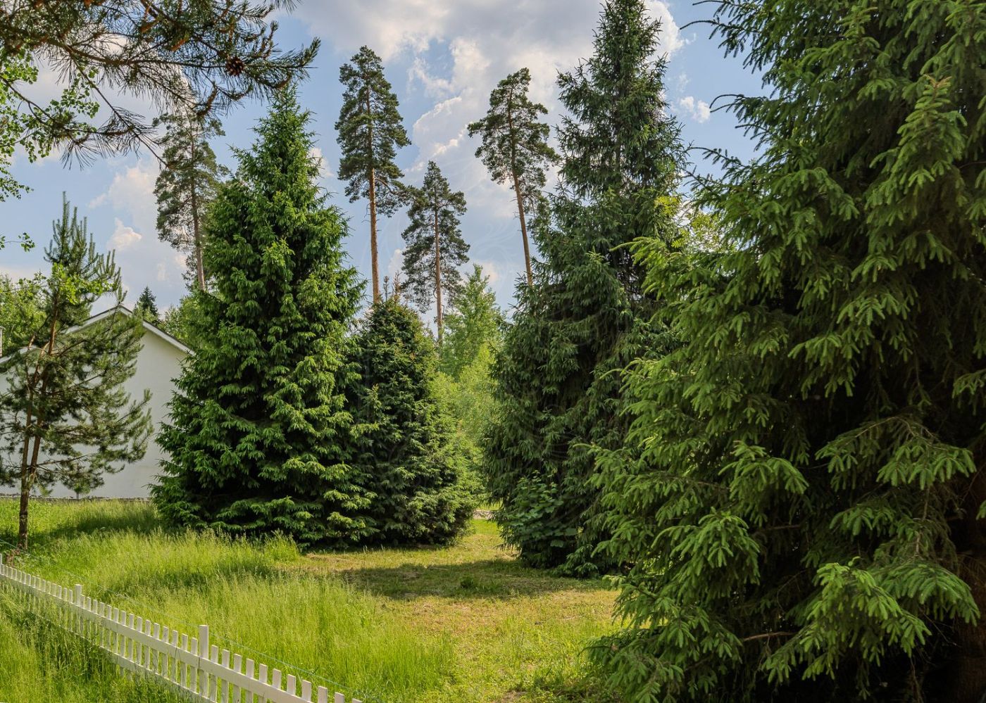 Лесной участок в новом поселке - фото 6
