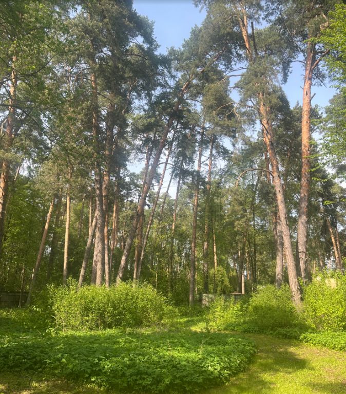 Шикарный участок у Москва реки