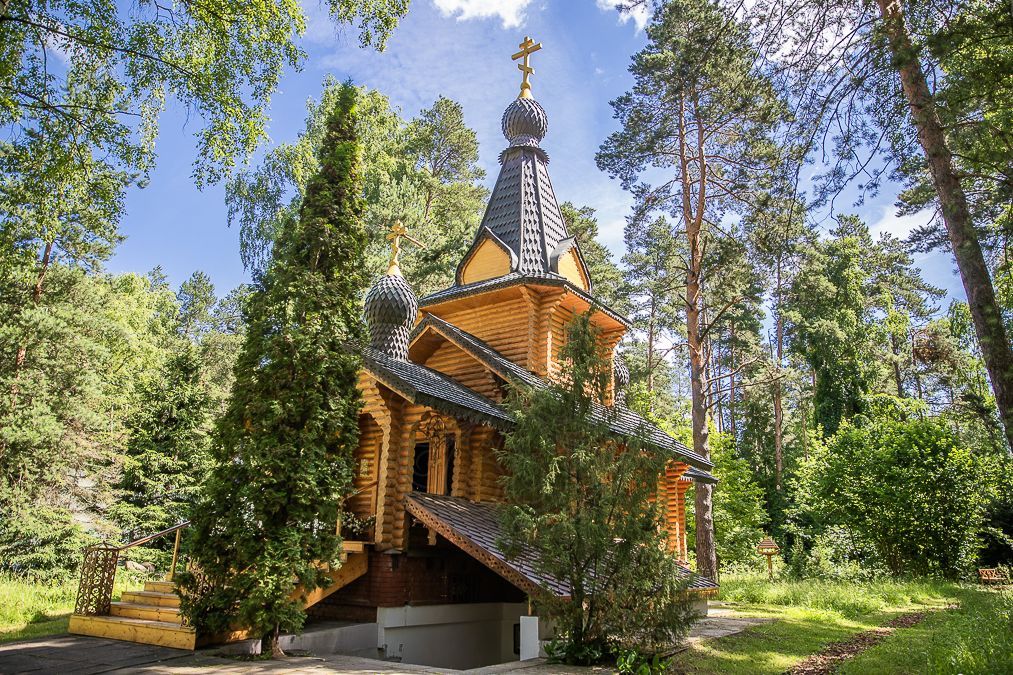 Лесной участок в ДСК " Марина" - фото 6
