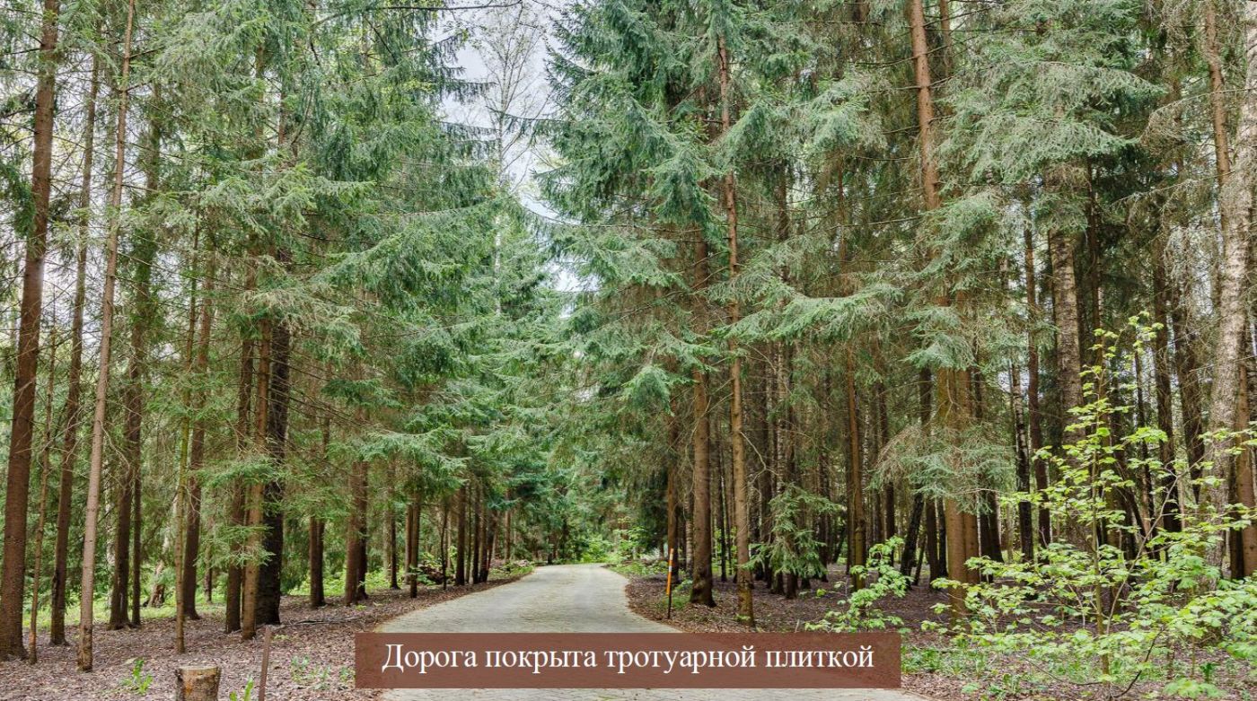 Лесной участок для строительства резиденции - фото 2