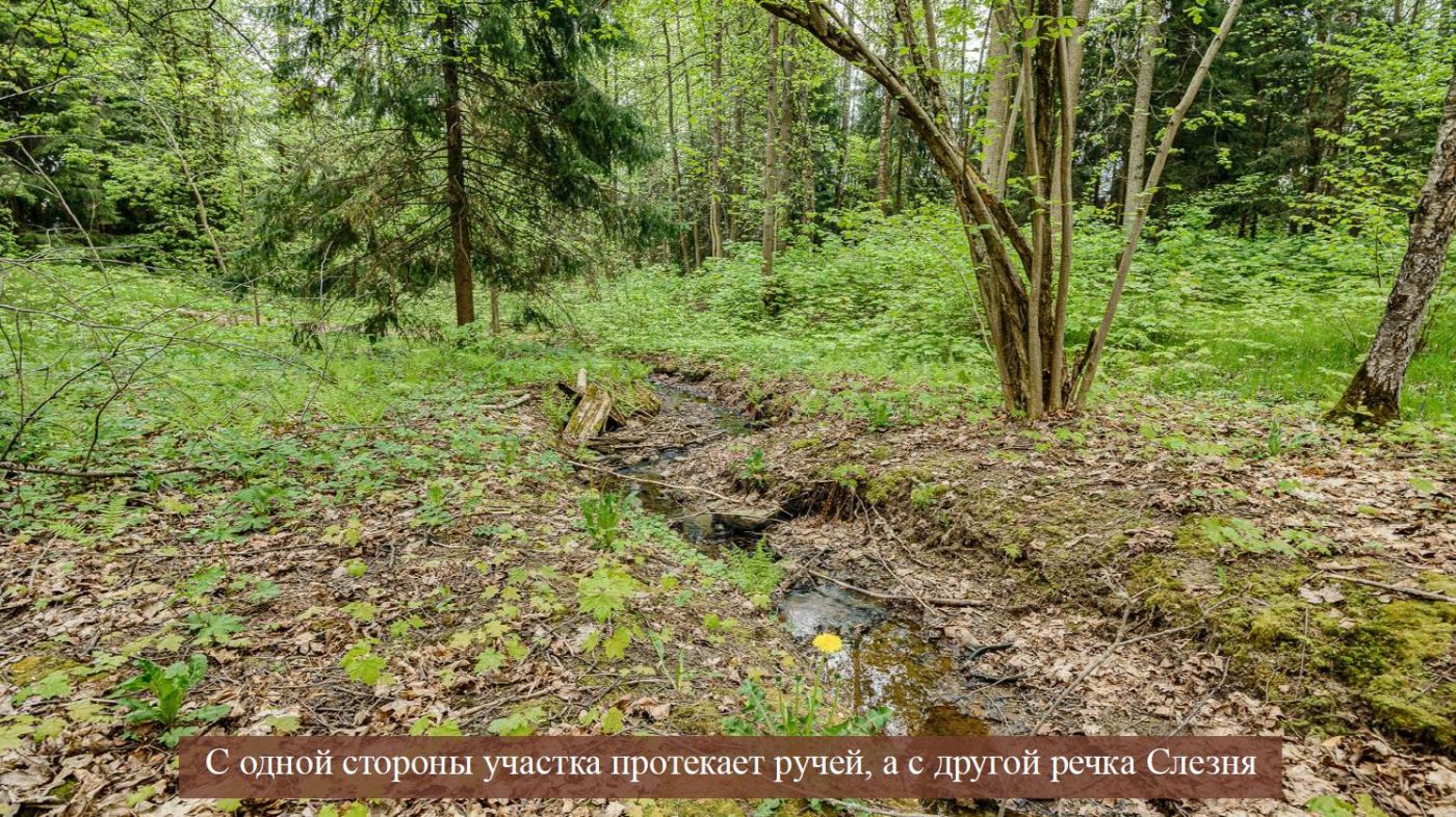 Лесной участок для строительства резиденции - фото 4