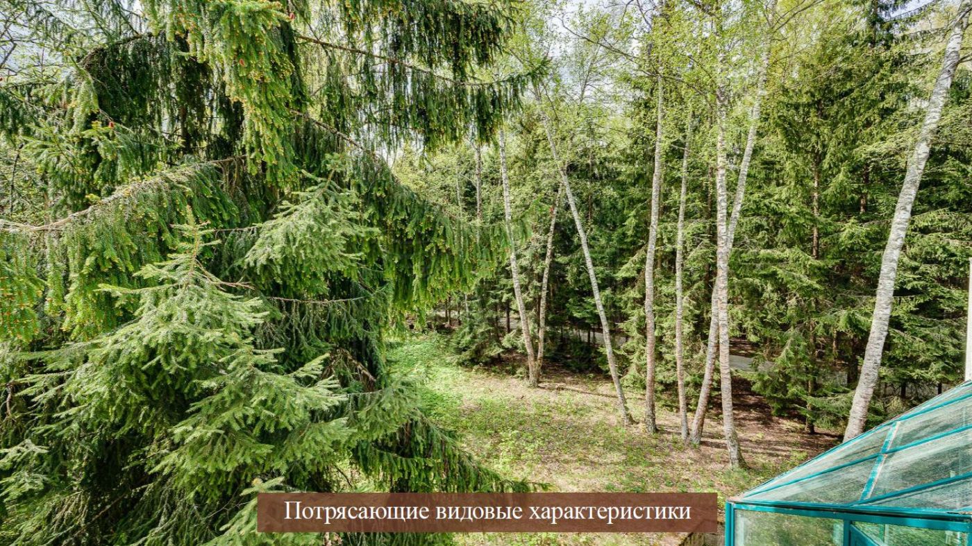 Лесной участок для строительства резиденции - фото 3