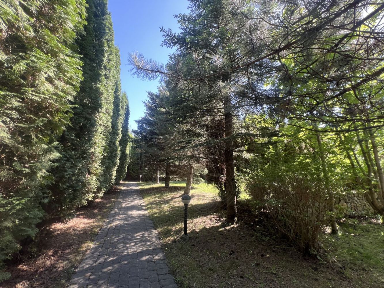 Участок в Шульгино - фото 3