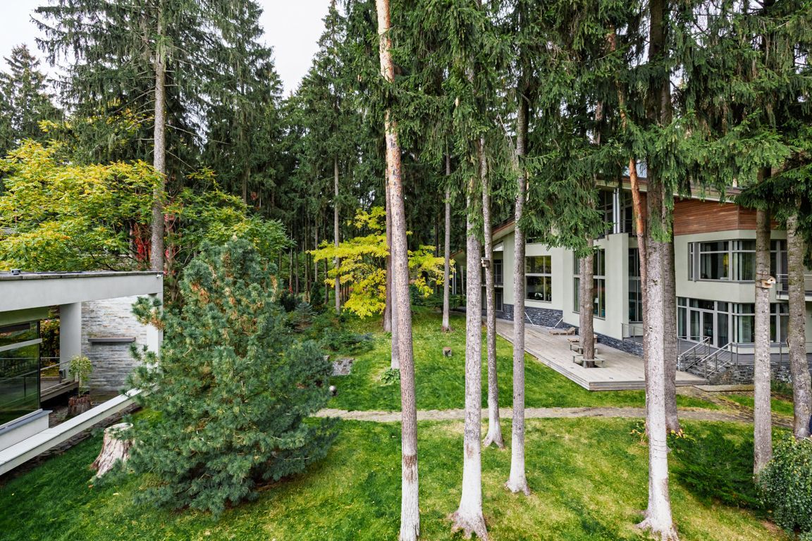 Продажа Дом 640 м² на участке 145 сот. в Грибово - фото 5