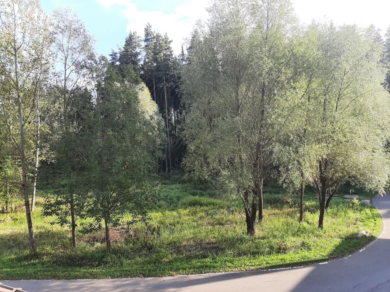 Участок 16 сот. в КП Лира-С - фото 3