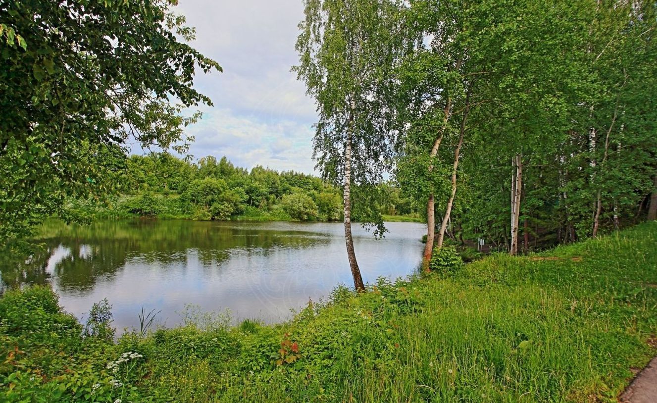 Участок на первой линии воды в Подушкино - фото 3