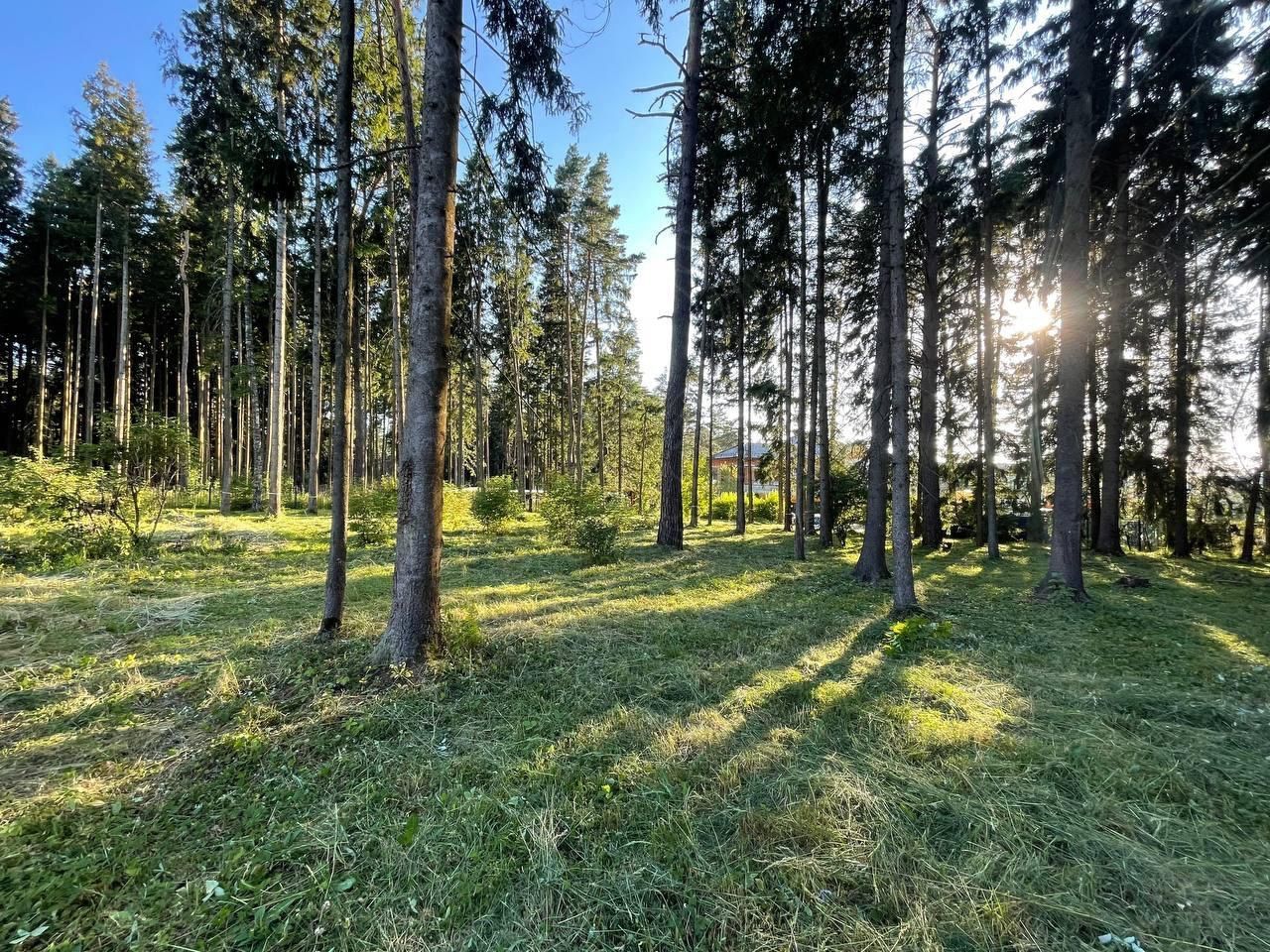 Участок 60 сот. в КП "Ренессанс парк" - фото 5