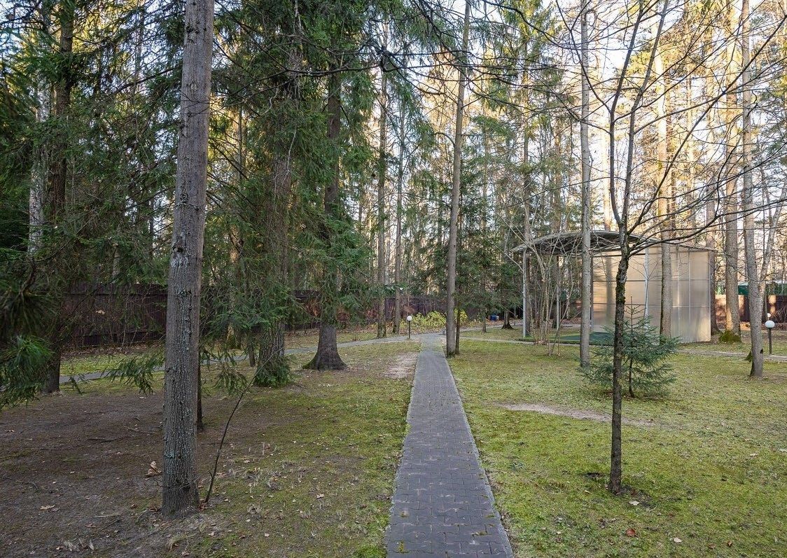 Лесной участок в Солослово - фото 2