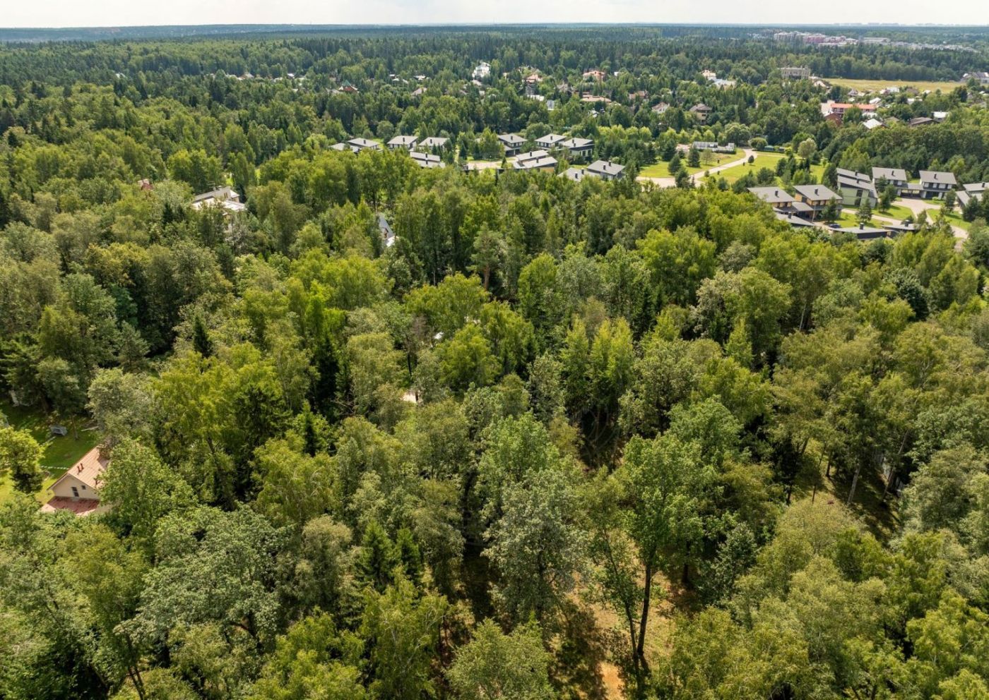 Лесной участок в Солослово - фото 3
