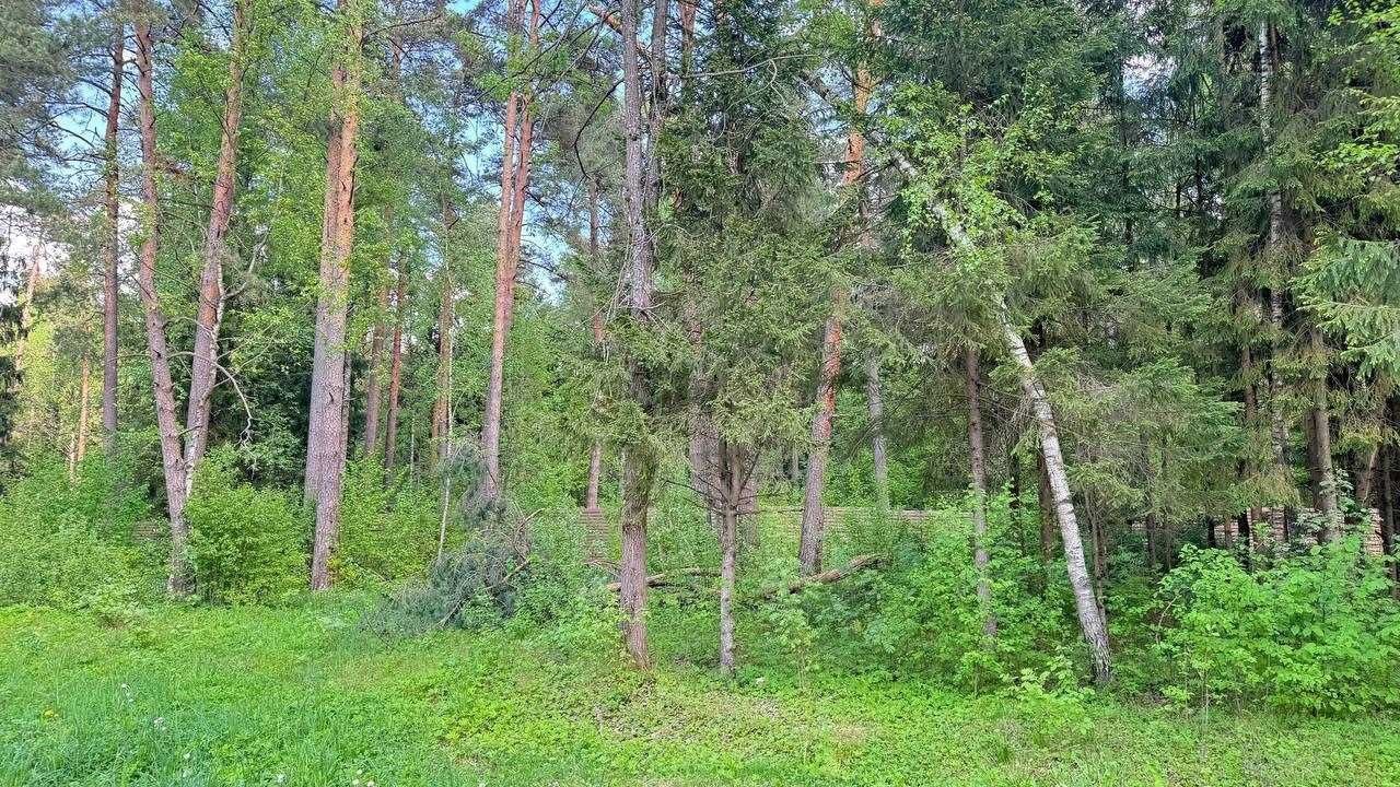 Лесной участок в КП LES Маслово - фото 4