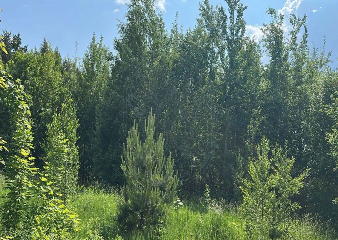 Участок в КП Бенилюкс. - фото 2