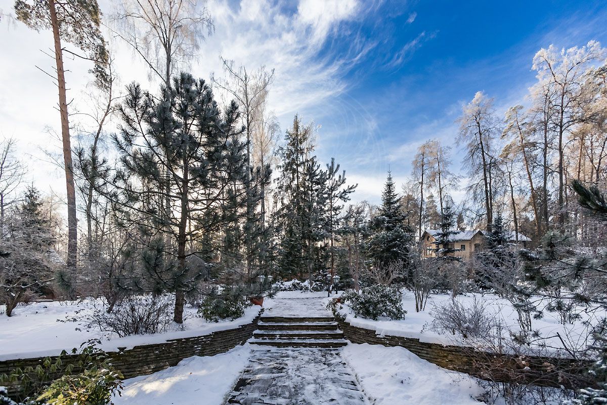 Резиденция на берегу Москва-реки - фото 4