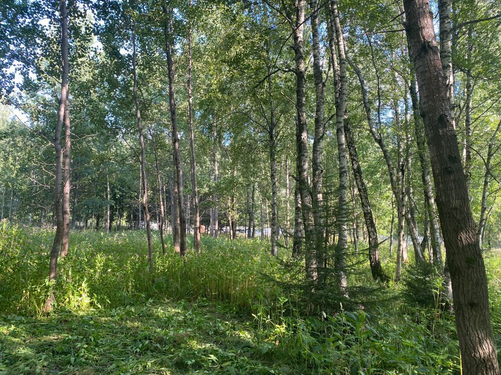 Участок у Москва реки