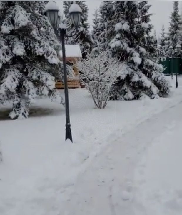 Прилесной участок в КП "Горки-8" - фото 2