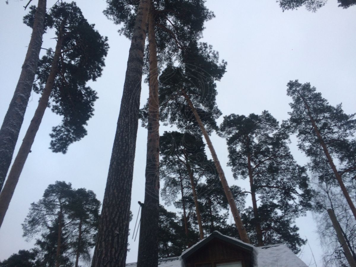 Продажа земельного участка в КП "Новь" - фото 3
