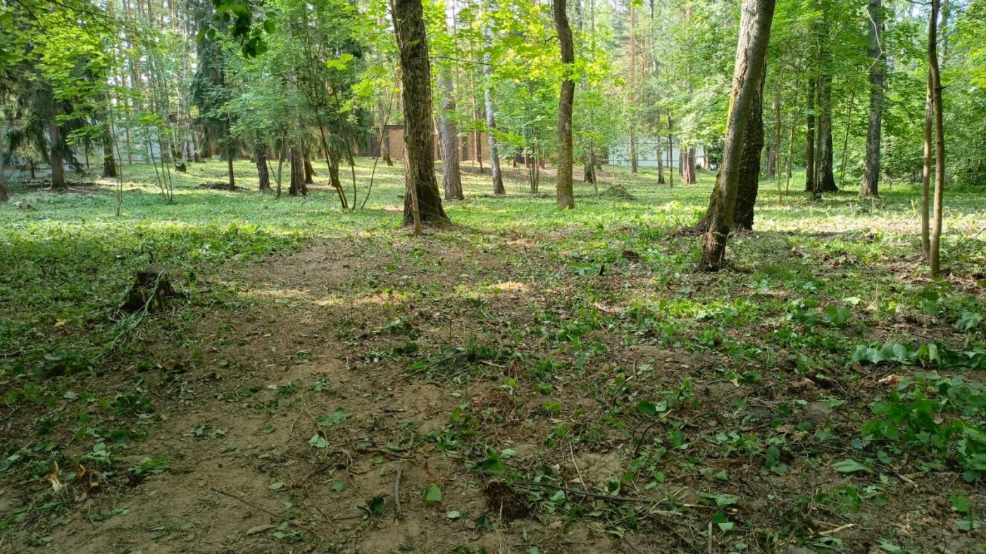 Лесной участок 50 соток