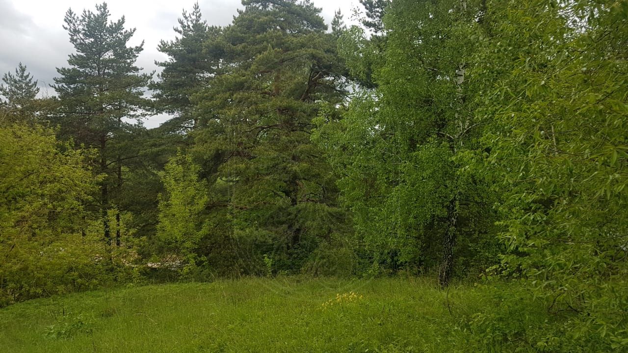 Видовой участок в Молоденово - фото 2