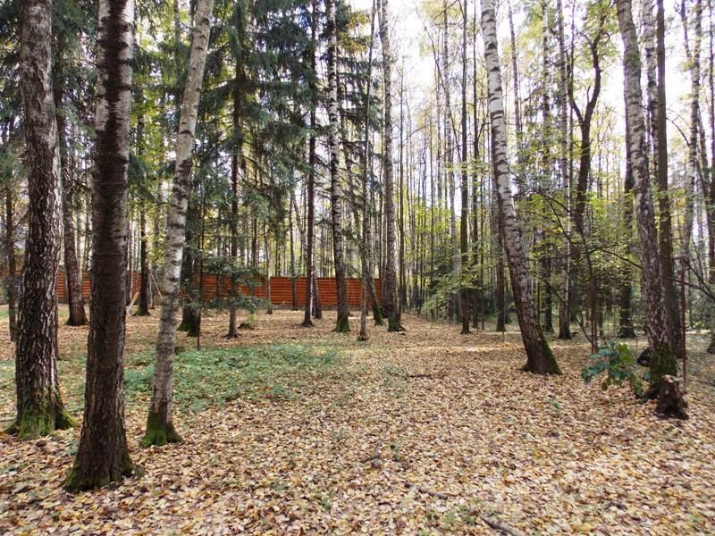 Шале в РАН Новодарьино - фото 3