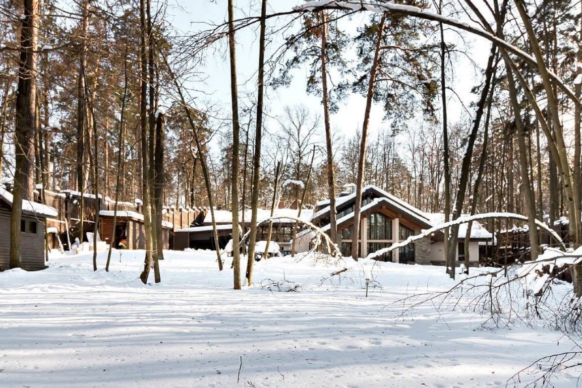 Дом в Жуковке-4 - фото 4