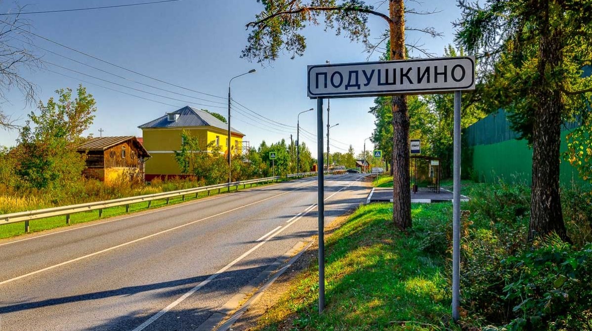 Подушкино