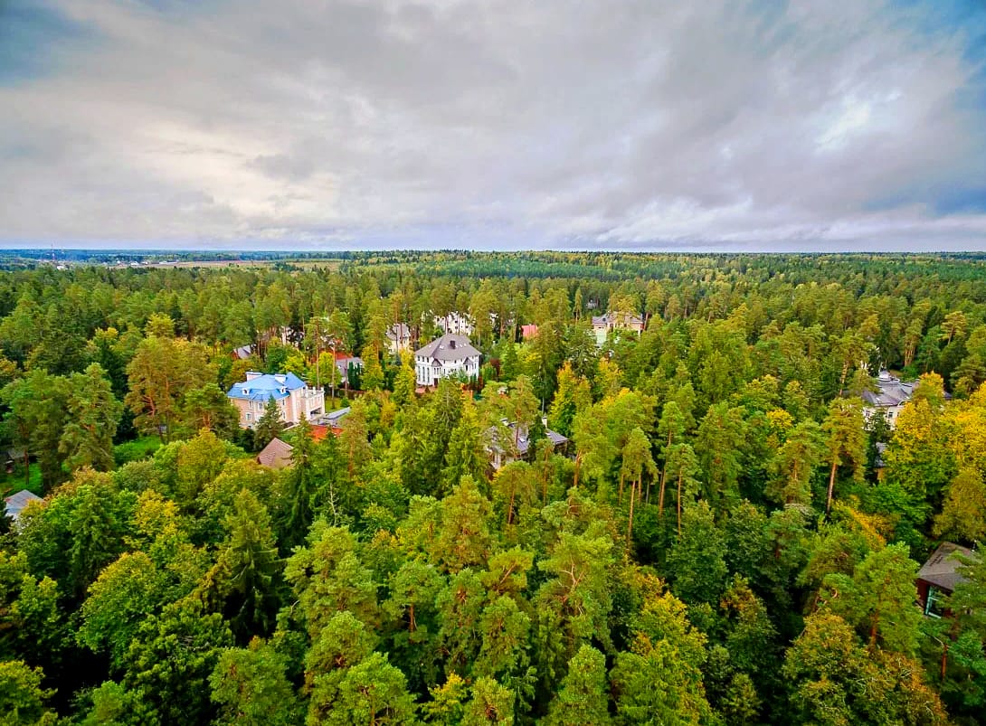 Дунино