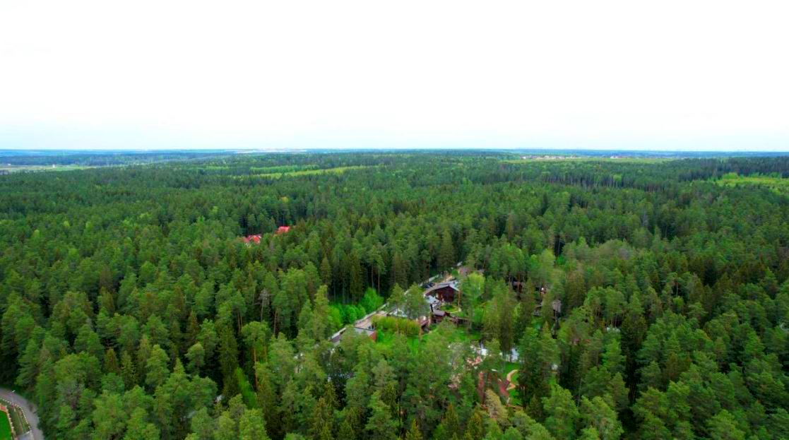 Лира -С
