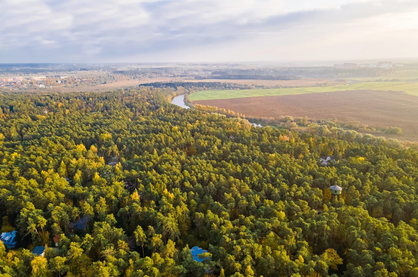 РАНИС